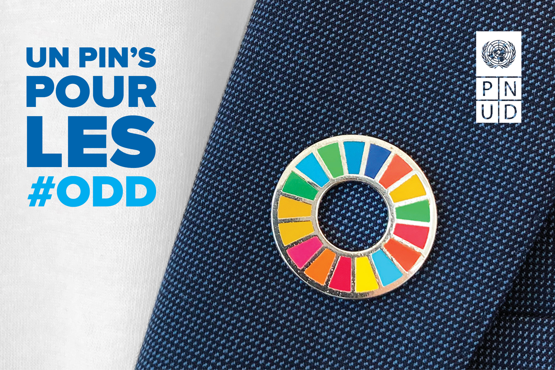 An image of the SDG wheel pin on a lapel, with the sentence 'Pin on for #SDGs'