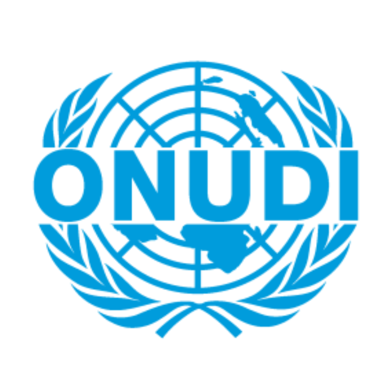 UNIDO logo