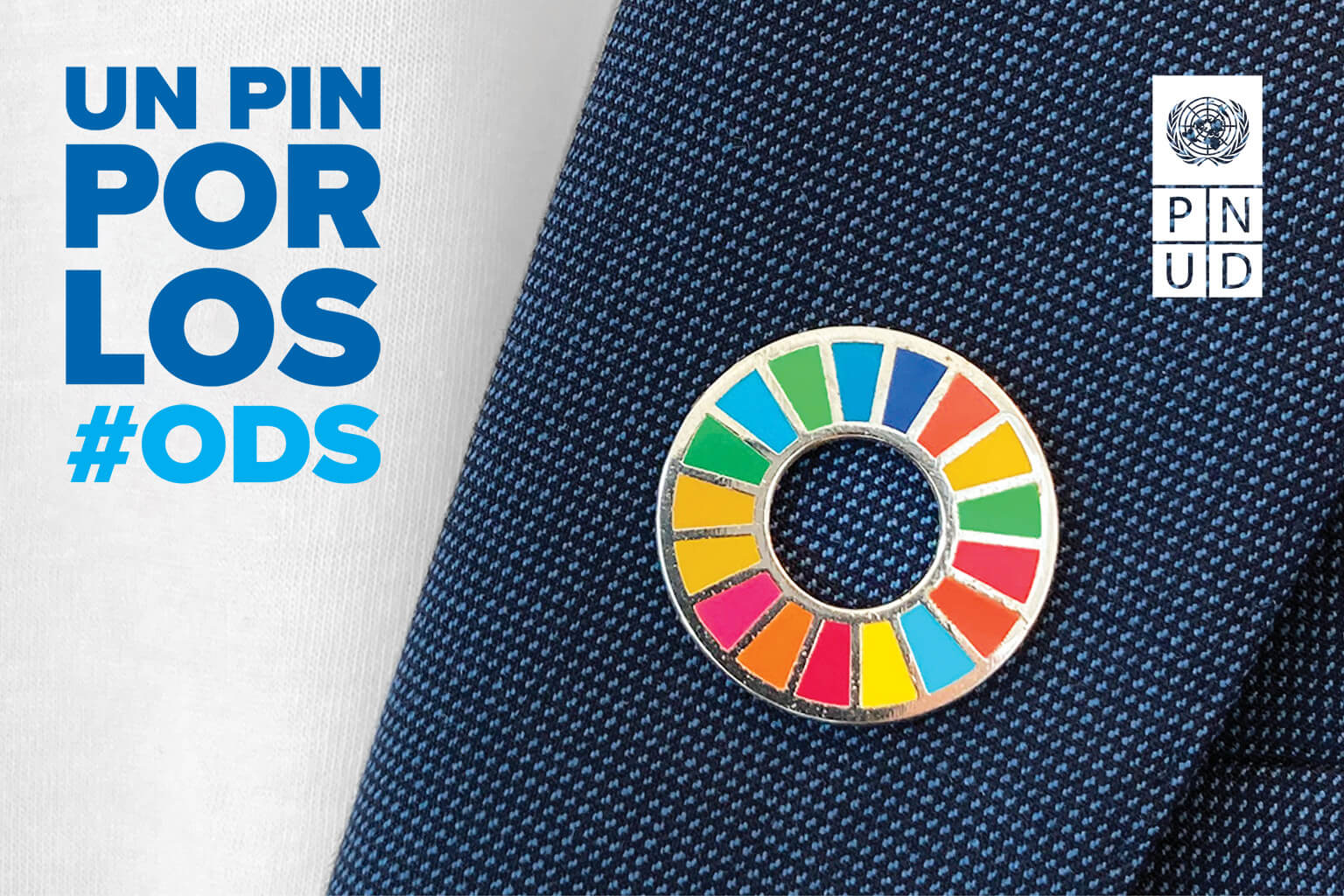 An image of the SDG wheel pin on a lapel, with the sentence 'Pin on for #SDGs'