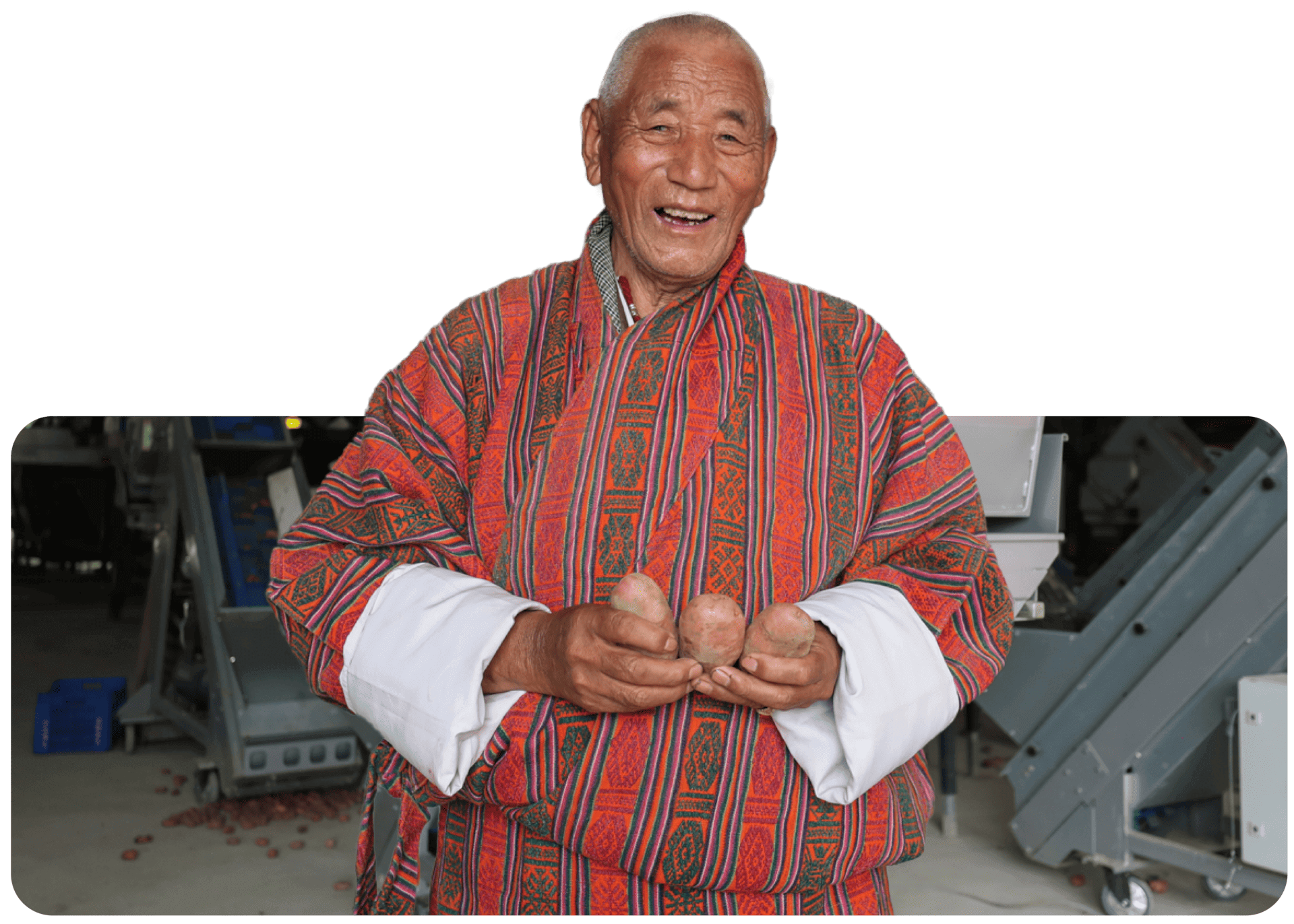 elderly man with potatoes