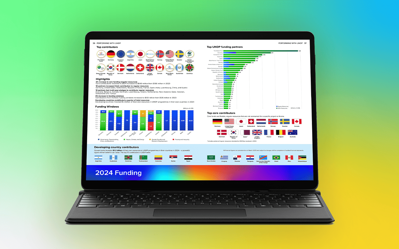 preview of content for UNDP funding charts